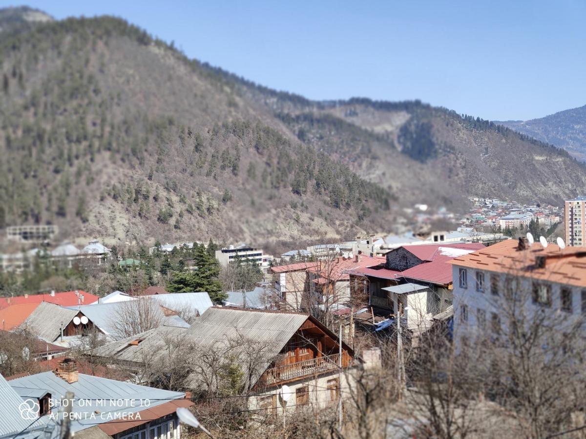 Hotel Borjomi Sichi Exteriér fotografie