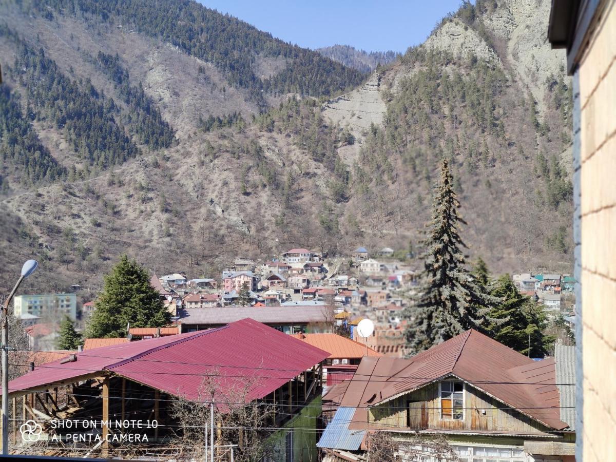 Hotel Borjomi Sichi Exteriér fotografie