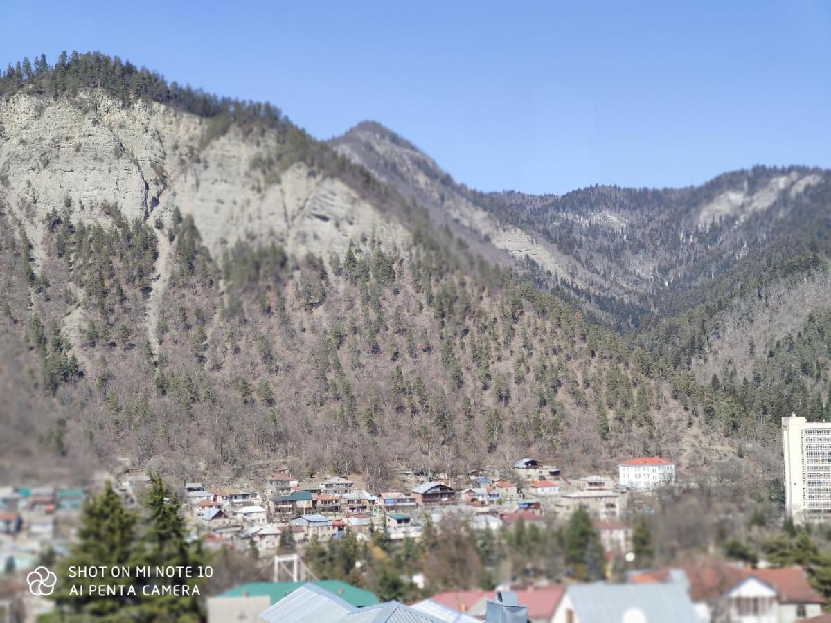 Hotel Borjomi Sichi Exteriér fotografie