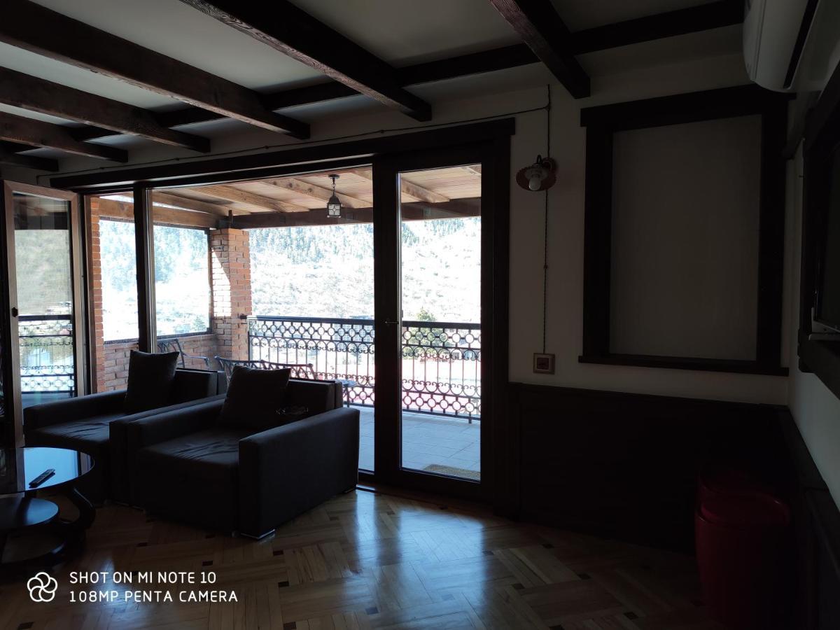 Hotel Borjomi Sichi Exteriér fotografie