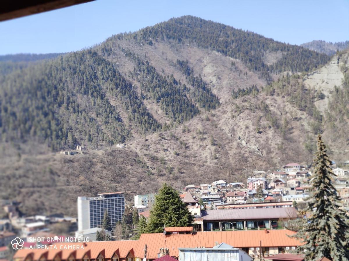Hotel Borjomi Sichi Exteriér fotografie